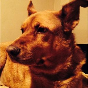 Meet your Posher, Nancy