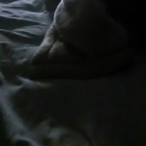 Meet your Posher, Israel