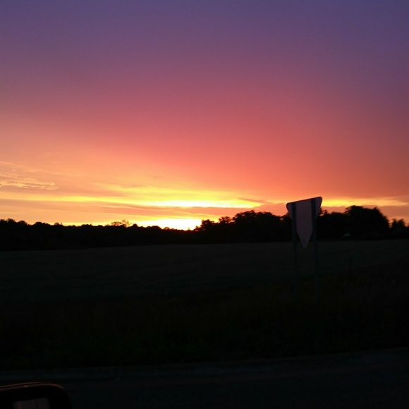 Meet your Posher, Danielle - Picture 1 of 1