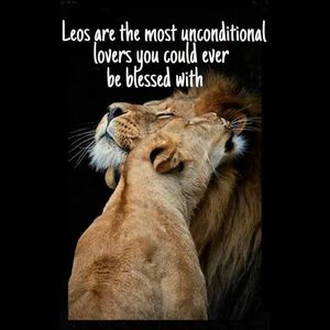 Meet your Posher, Rosetta