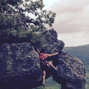 Meet your Posher, Kaila