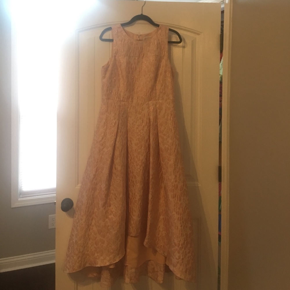 Shoshanna Midnight Dress in Blush/Floral