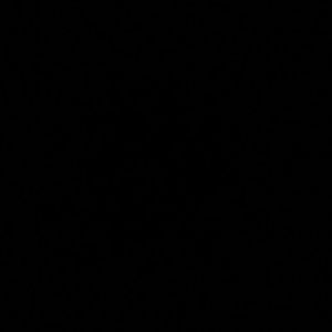 Meet your Posher, Lamar