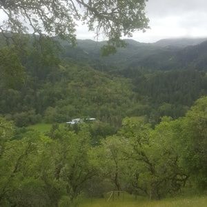 Meet your Posher, Hillard