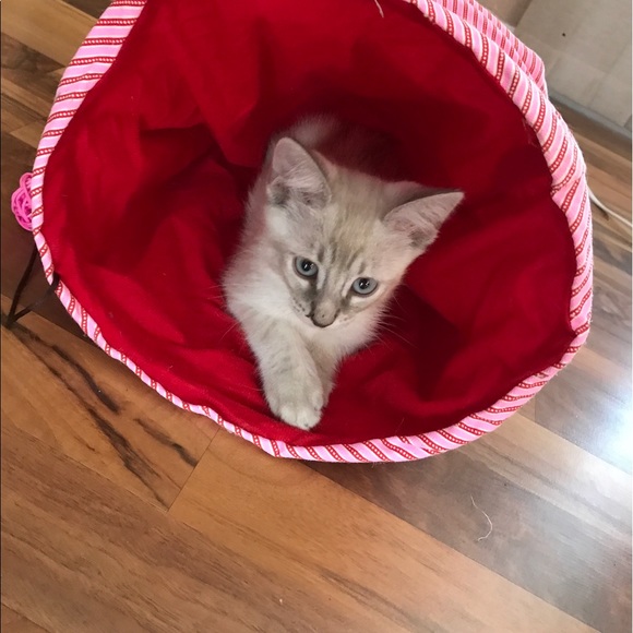 Meet your Posher, Jolene - Picture 1 of 1