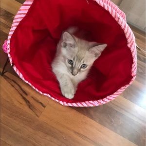Meet your Posher, Jolene