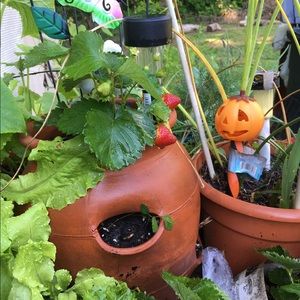 Meet your Posher, Pam