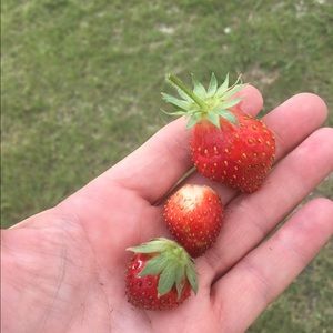 Meet your Posher, Vickie