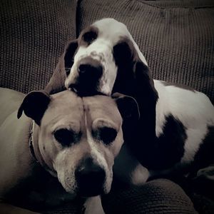 Meet your Posher, Ashli