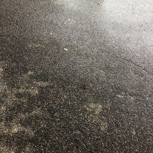 Meet your Posher, Shamoneece