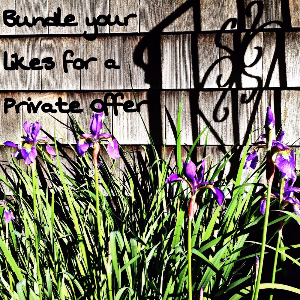 25% off all bundles of 3+ items