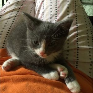 Meet your Posher, Cathryn