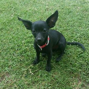 Meet your Posher, Nikki