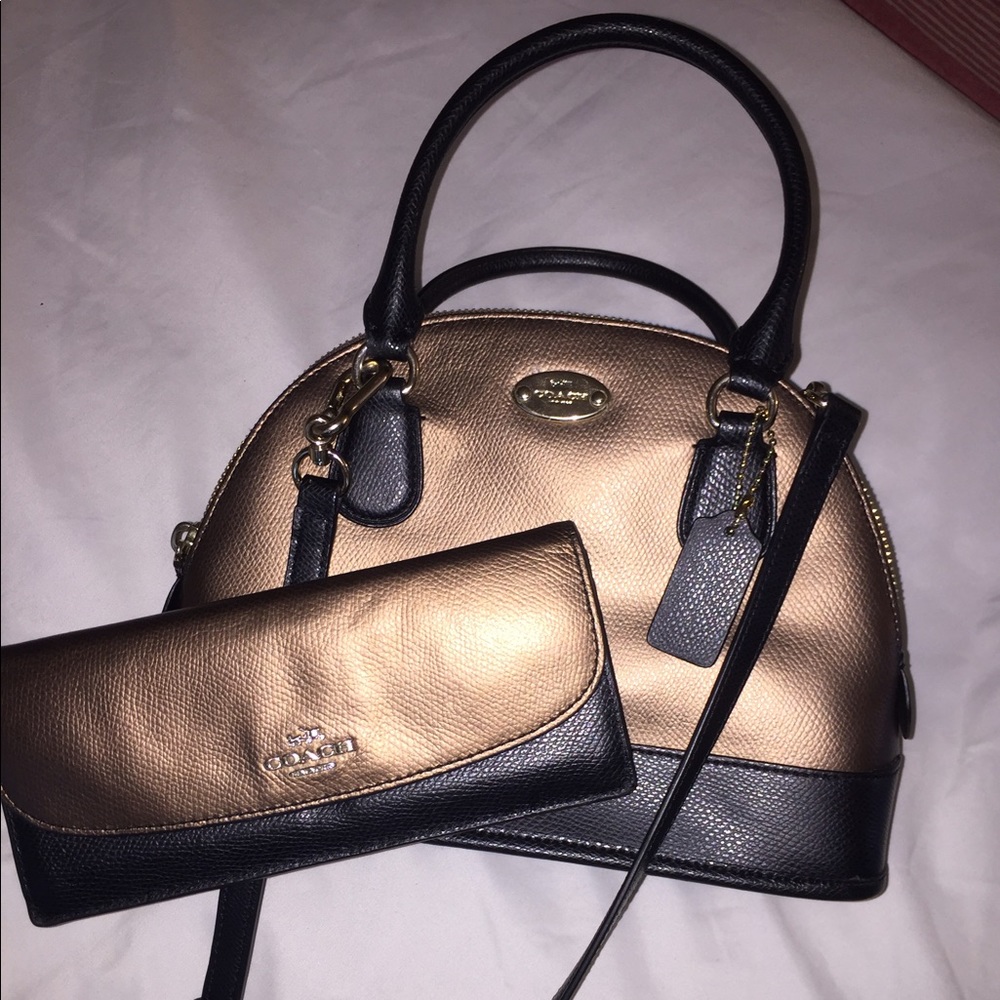 Coach Mini Sierra Crossbody Handbag and Wallet