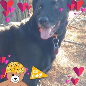 Meet your Posher, Florence