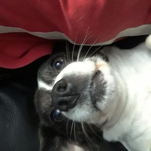 Meet your Posher, Kevin