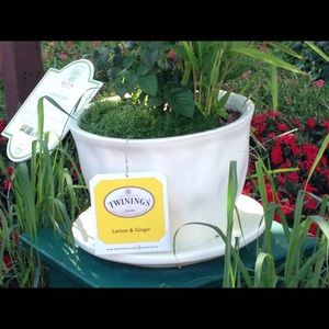 Meet your Posher, Gail