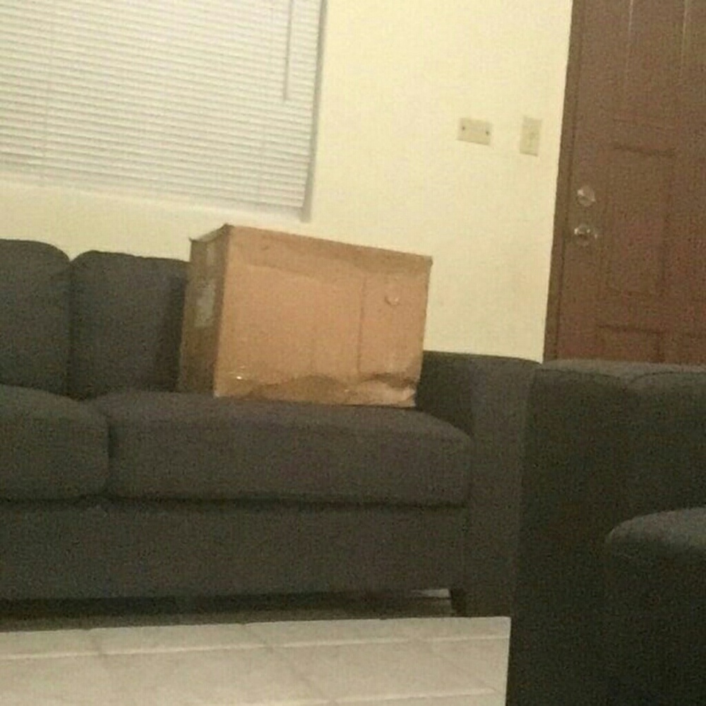 Meet your Posher, Niko