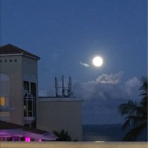 Meet your Posher, Benjamin