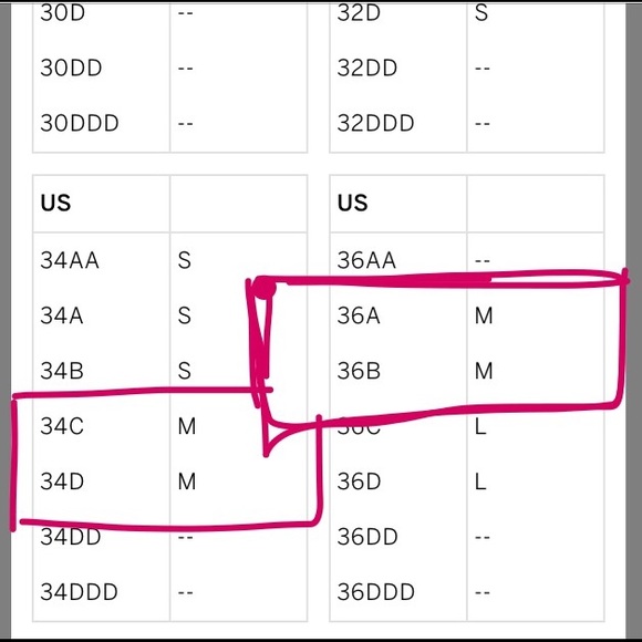 NWOT PINK MEDALLION LACE LIGHTLY LINED BRALETTE - Picture 7 of 7