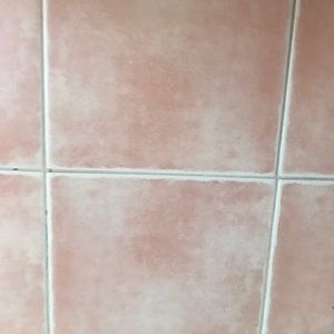 Meet your Posher, Riya