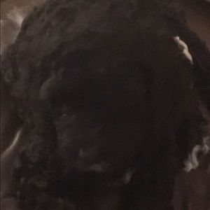 Meet your Posher, Lilly