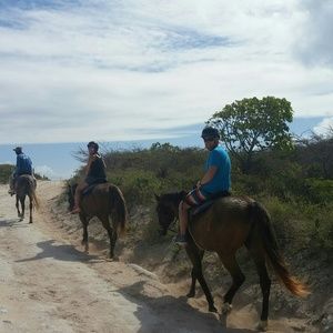 Meet your Posher, Jolene