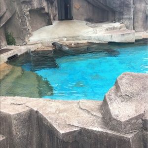 Meet your Posher, Kaylee