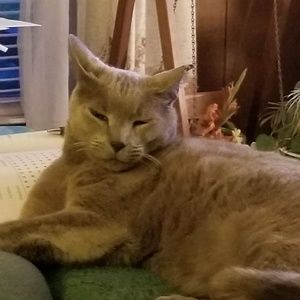 Meet your Posher, Tammy