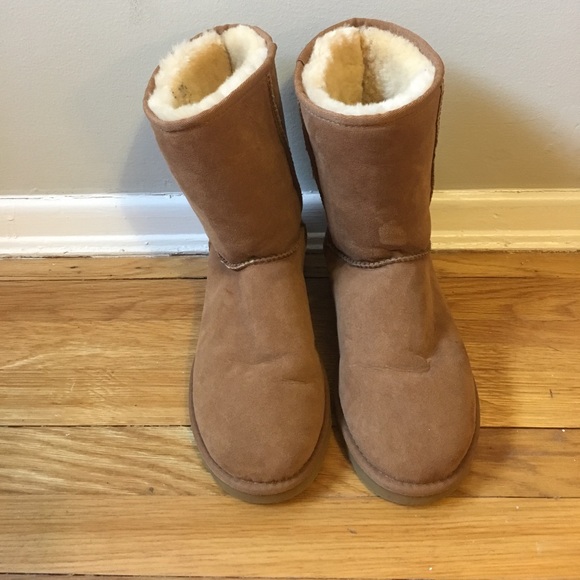 UGG Shoes - Women's classic short Ugg chestnut boots size 9