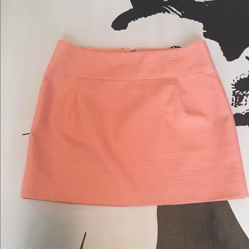 J. CREW Womens Peach Skirt