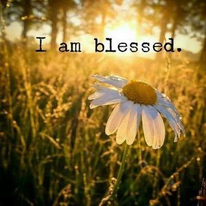 Meet your Posher, Kathie