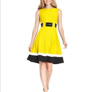 Yellow Dress with Black Belt (worn once)