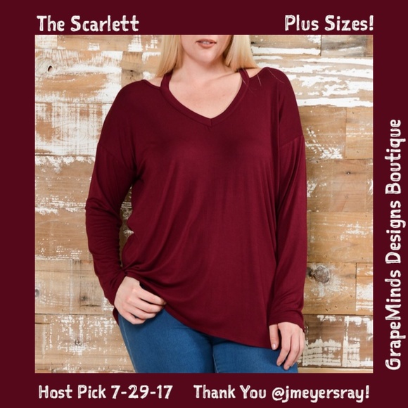 🥂➕ Scarlet V-neck Long Sleeve Tunic 2X 3X 4X - Picture 2 of 3