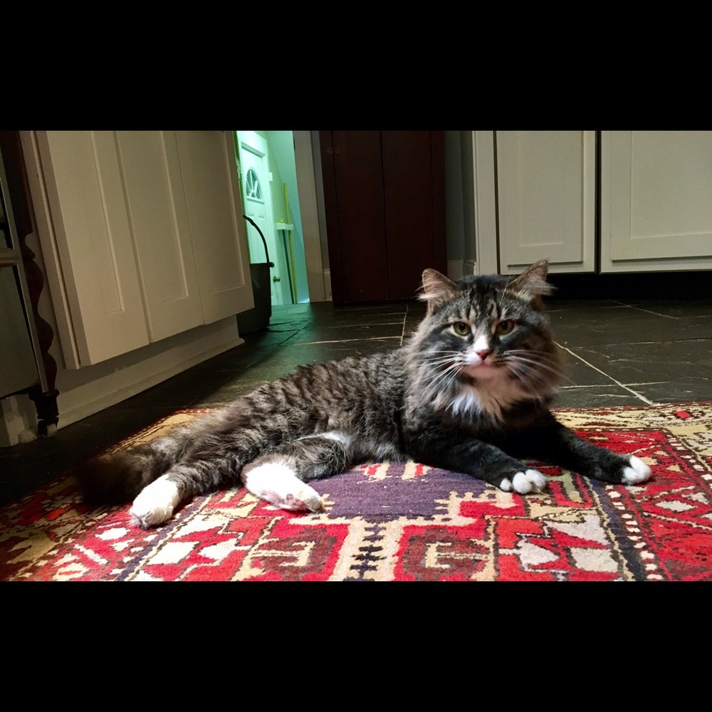 Meet your Posher, Natalie