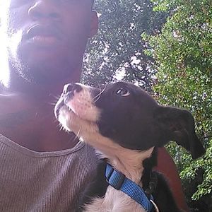 Meet your Posher, Desmond