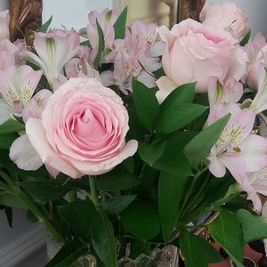 Meet your Posher, Lorena