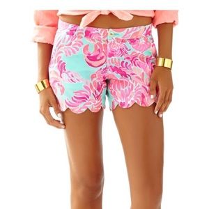 Lilly NWOT Buttercup Shorts Love Birds Sz 00