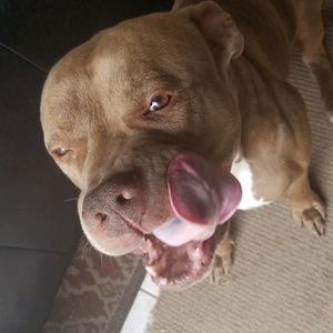 Meet your Posher, Jenny