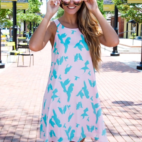 LARGE Pretty bird print dress - Picture 4 of 6