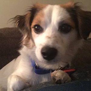 Meet your Posher, Carolyn