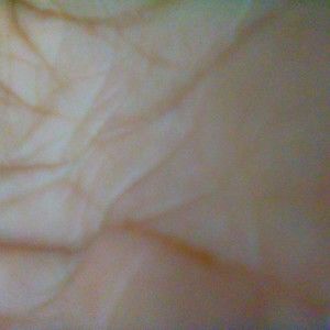 Meet your Posher, Mickey