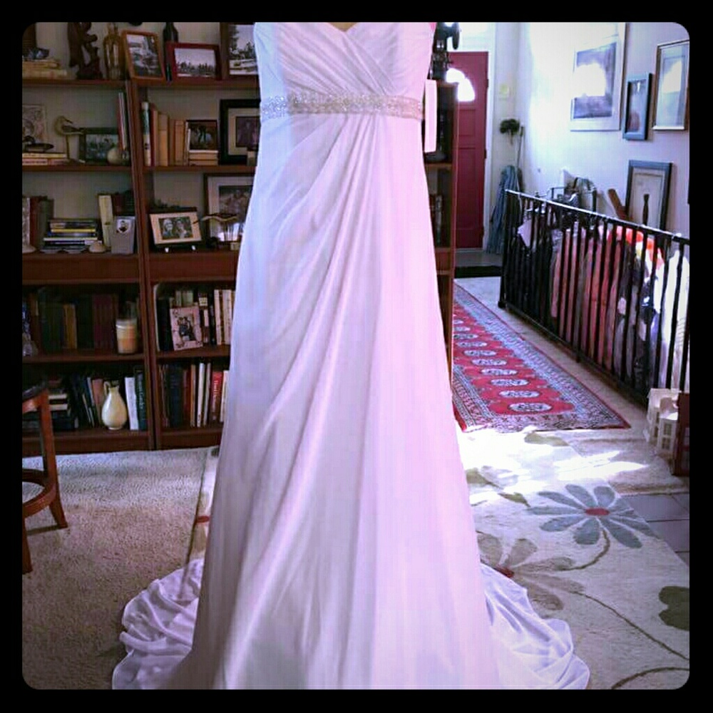David's Bridal Wedding Dress - Picture 1 of 6