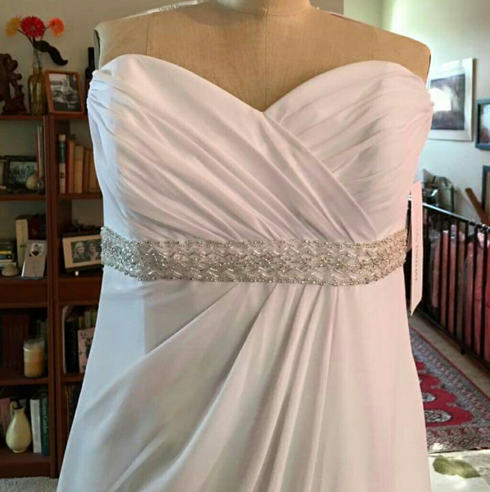 David's Bridal Wedding Dress - Picture 2 of 6