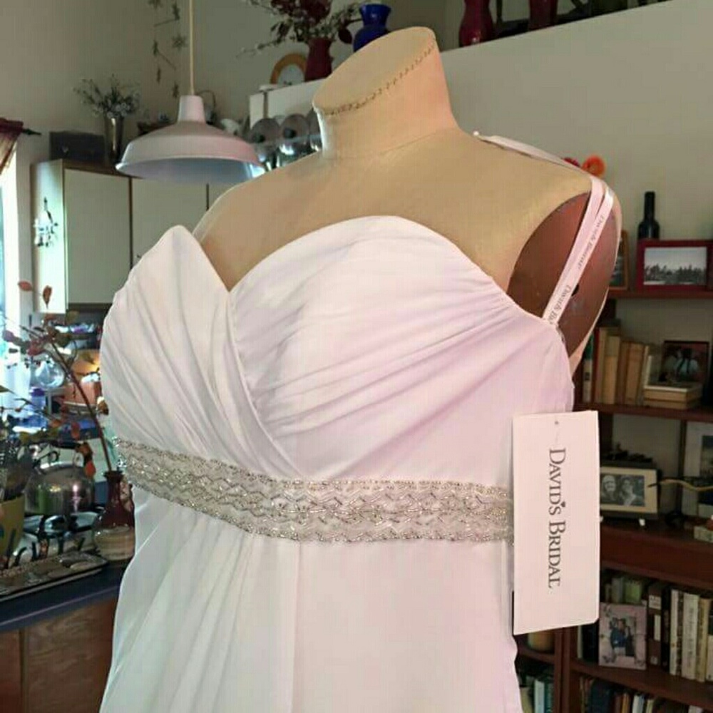 David's Bridal Wedding Dress - Picture 3 of 6