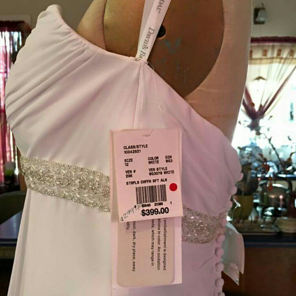 David's Bridal Wedding Dress - Picture 4 of 6