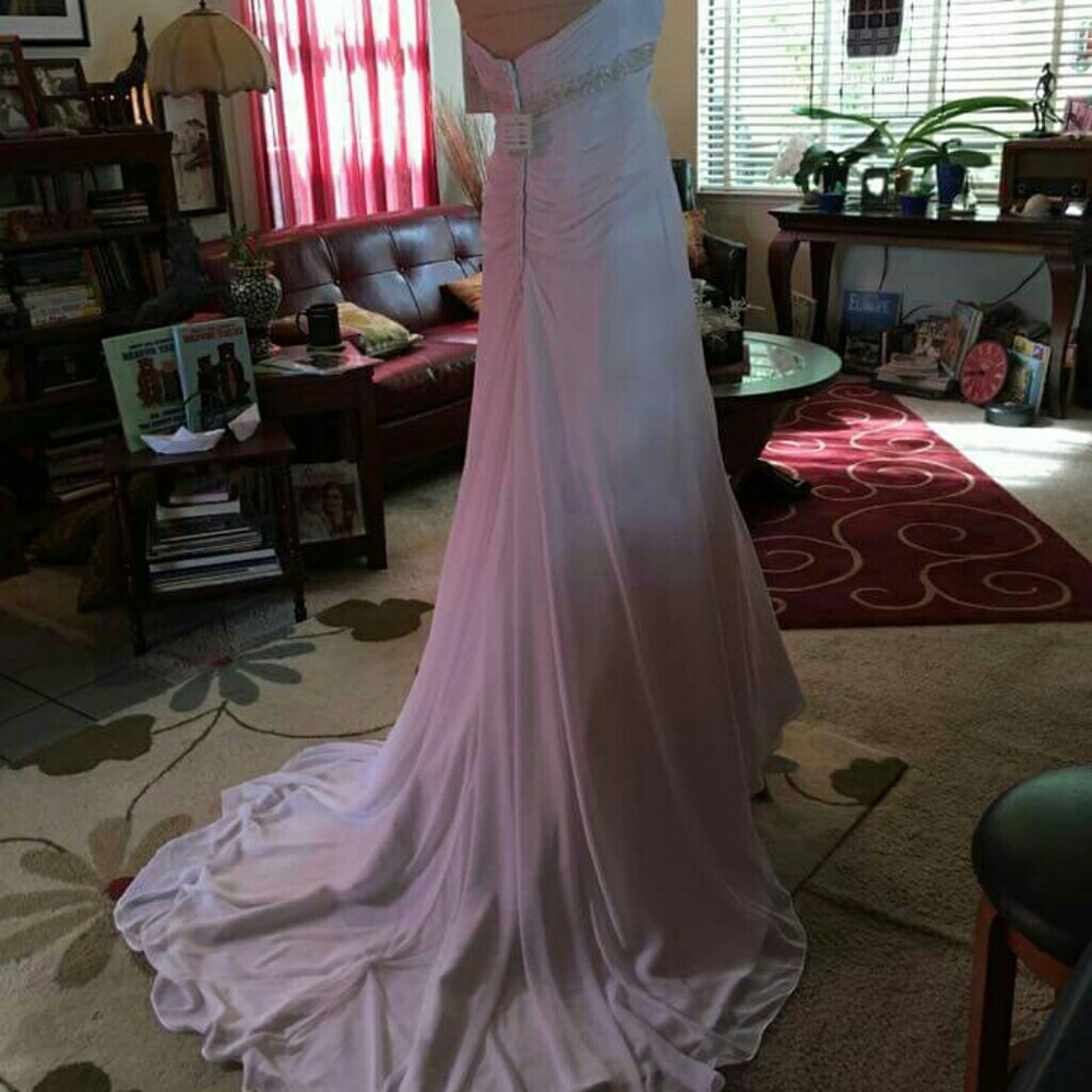 David's Bridal Wedding Dress - Picture 5 of 6