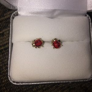 Ladybug Post Earrings