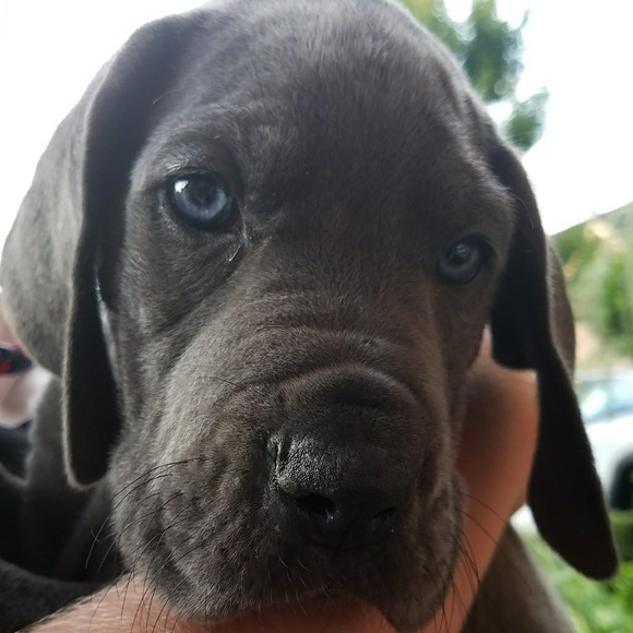 Meet your Posher, Serg - Picture 2 of 2