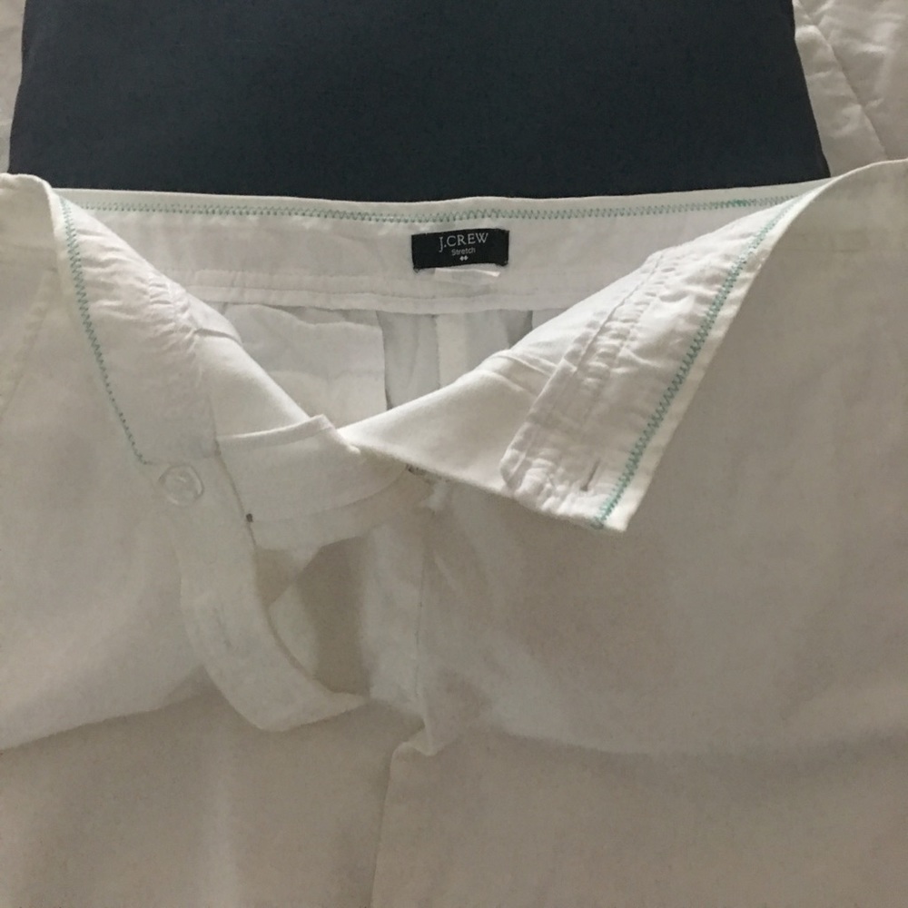 J Crew skirt